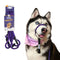 Heather's Heroes Sidekick Regular 3/8" x 6' Purple Dog Leash poudrefeed.com